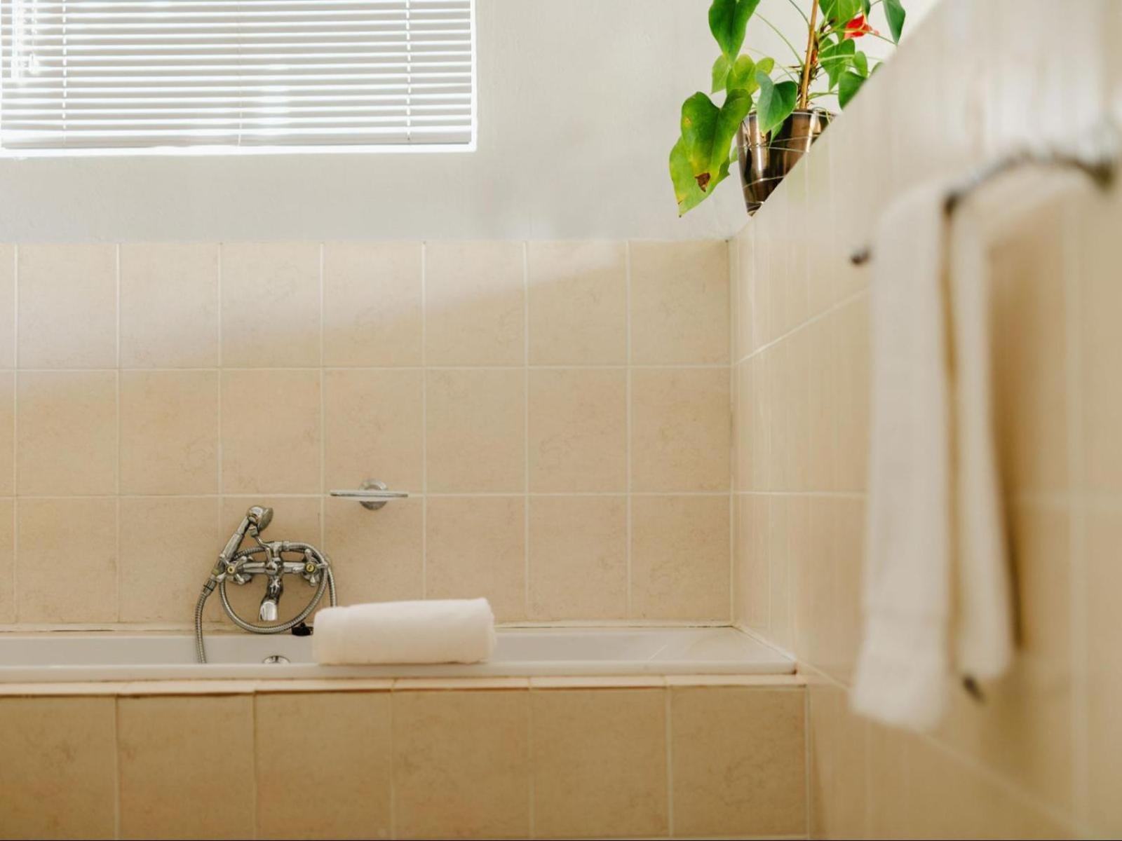 Hopefield Guesthouse-Addo Chambre photo